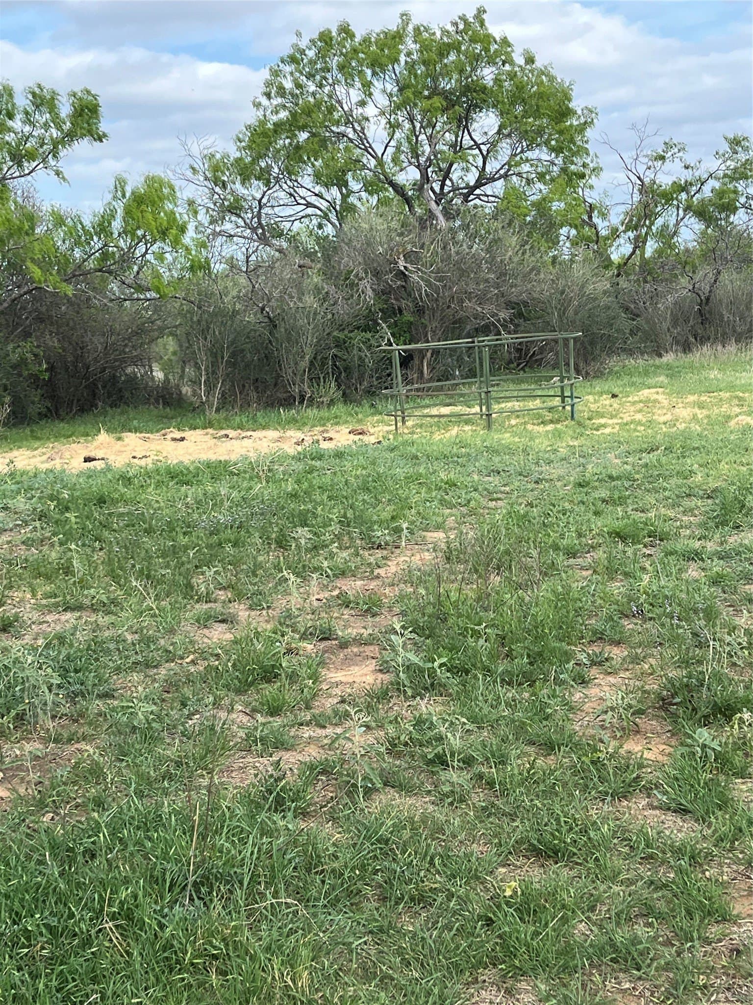 234.5 acres in Mills County - photo 21