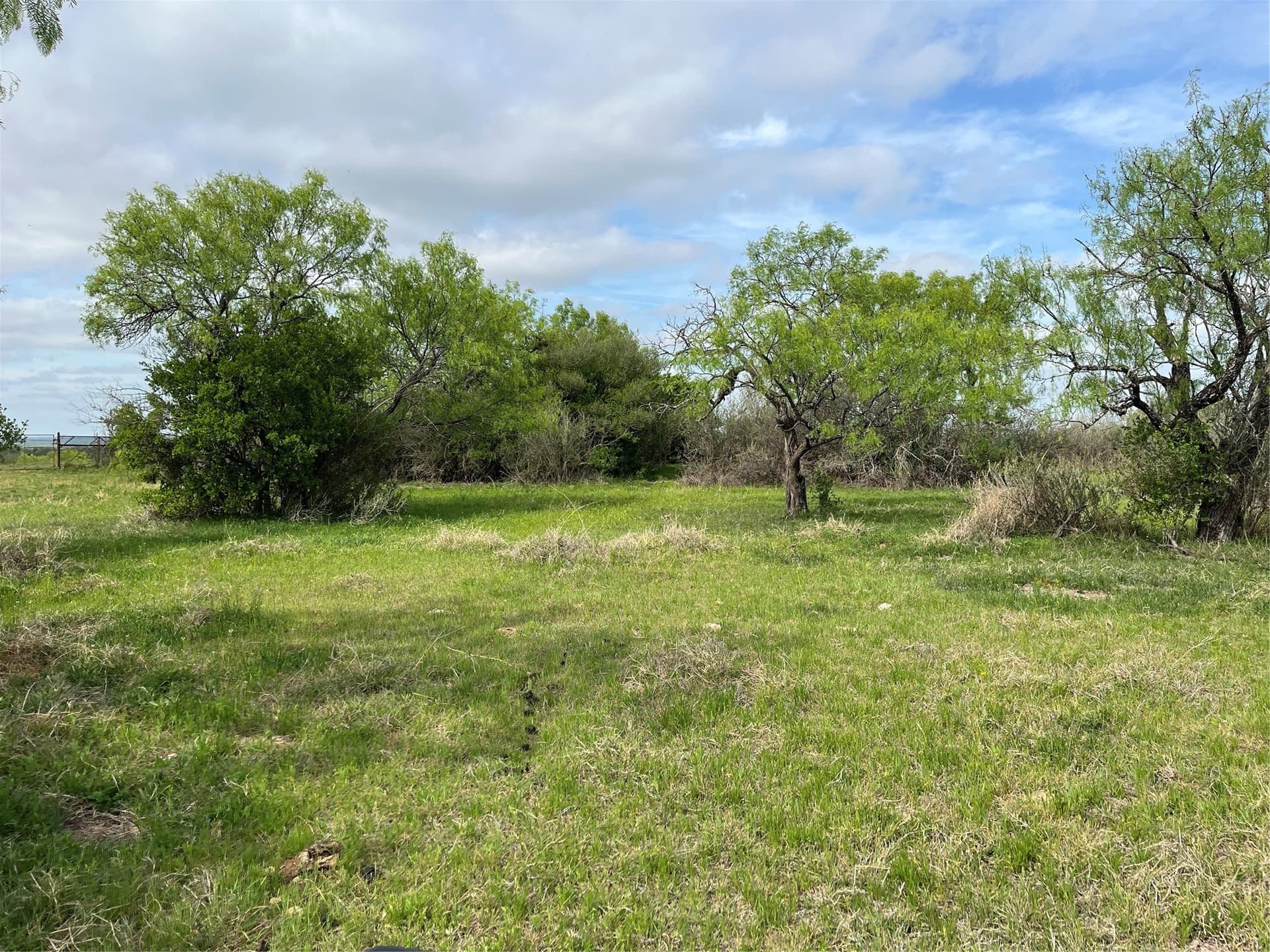 234.5 acres in Mills County - photo 15