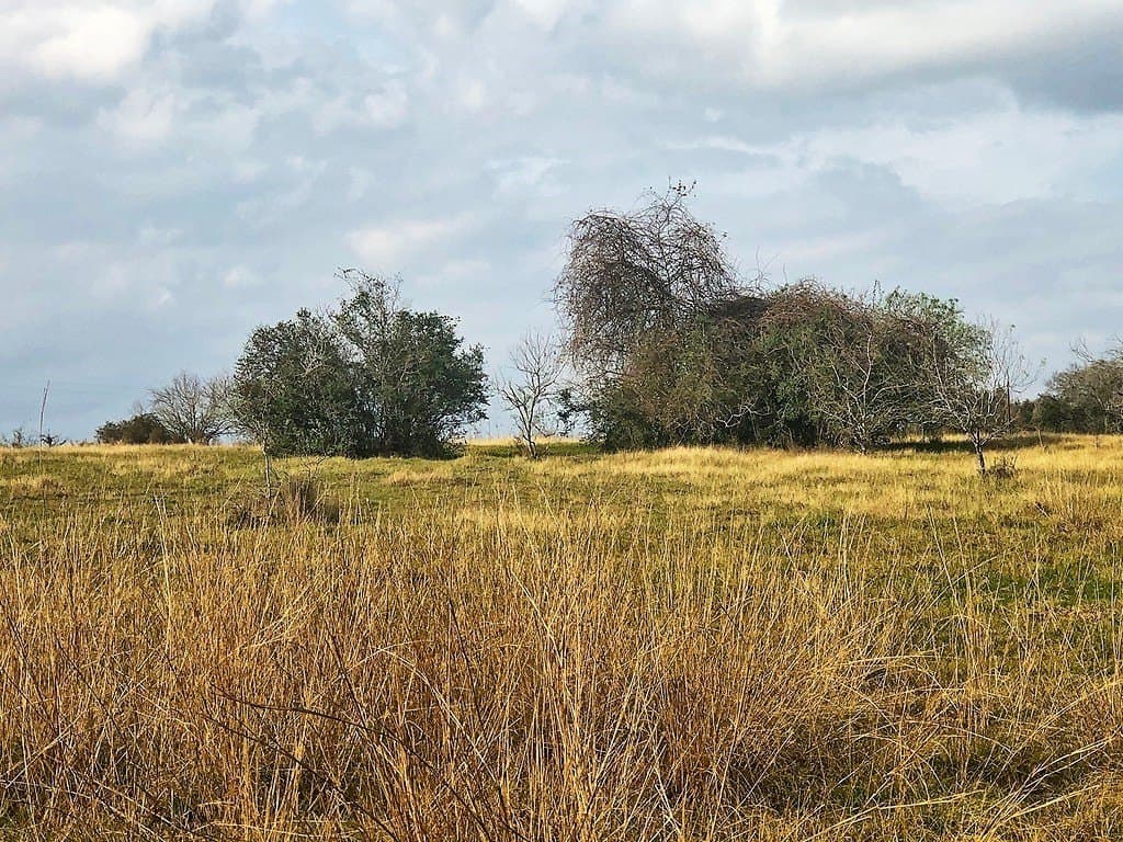 26 acres in Lavaca County featured view