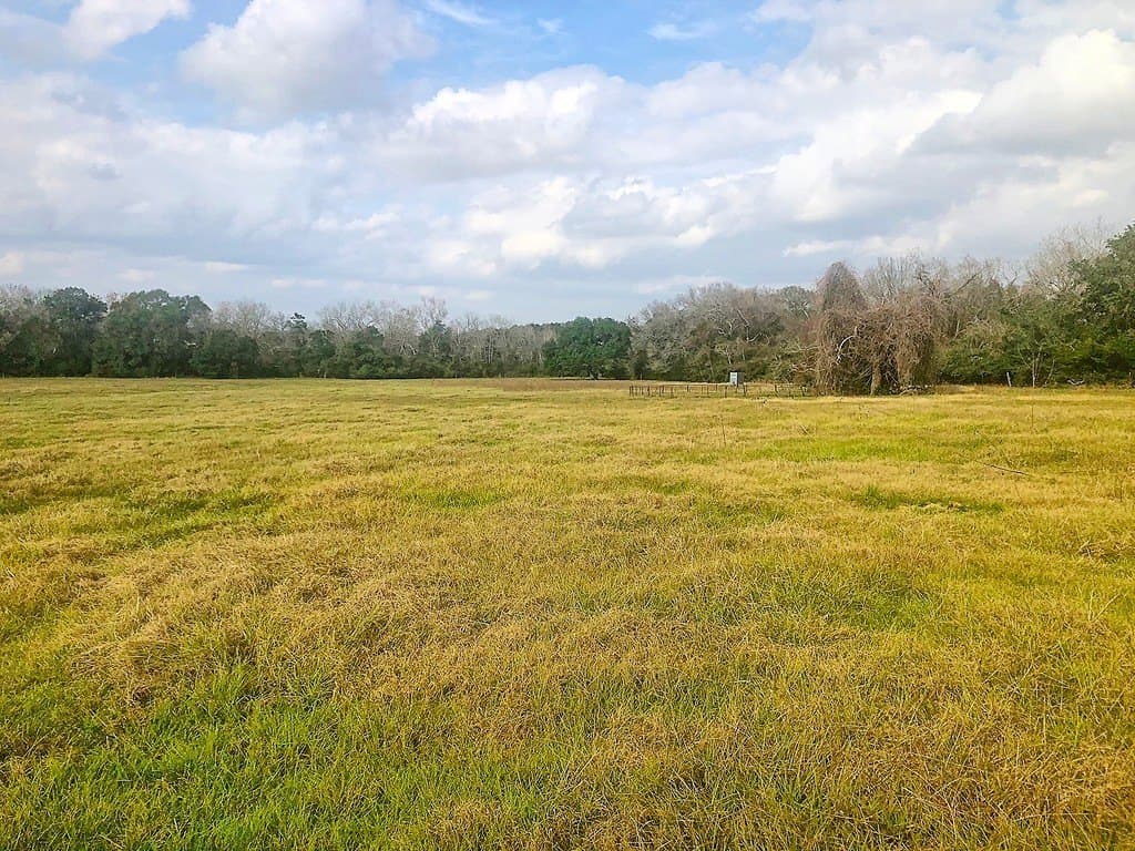 26 acres in Lavaca County - photo 14