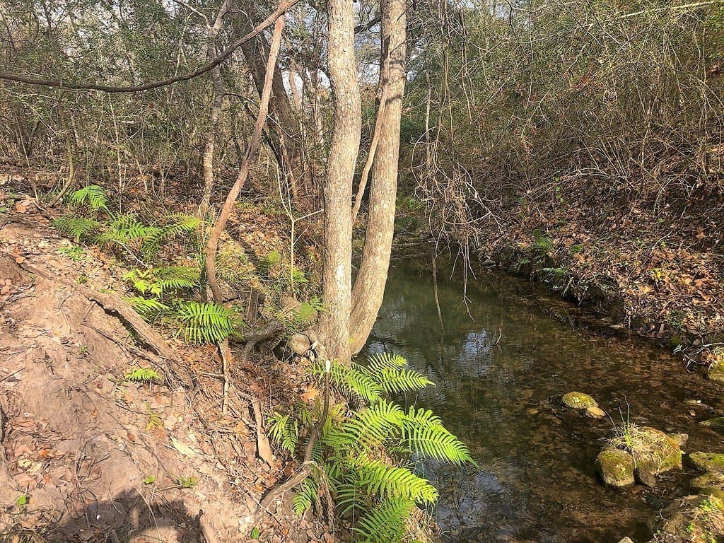 26 acres in Lavaca County