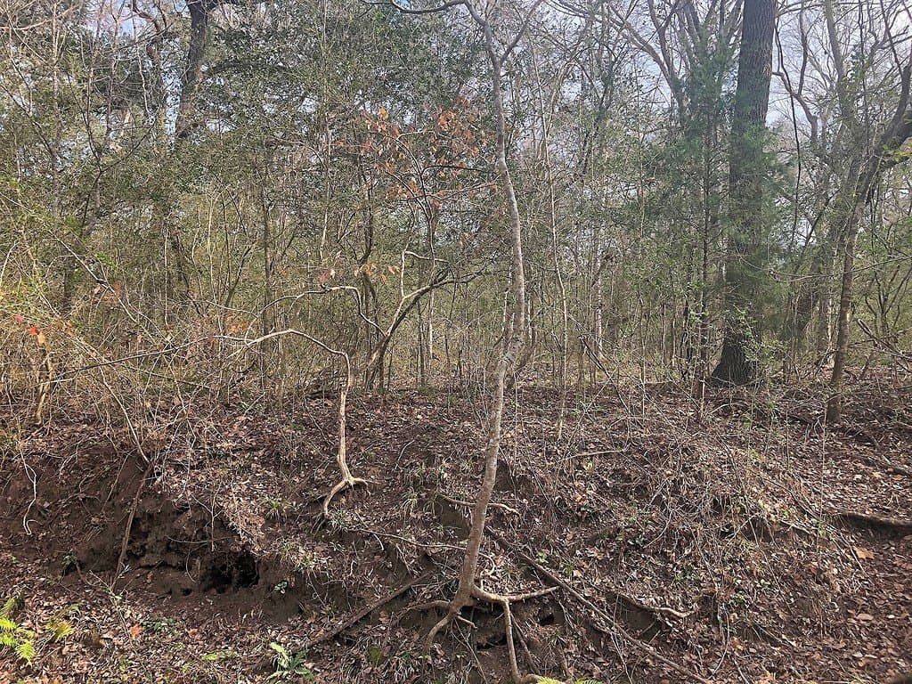 26 acres in Lavaca County - photo 8