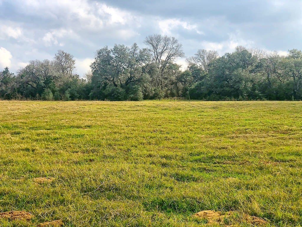 26 acres in Lavaca County - photo 9
