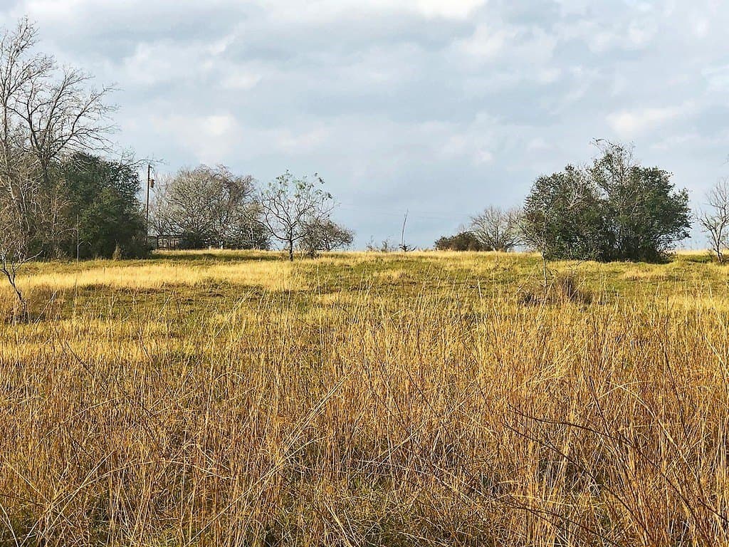 26 acres in Lavaca County gallery image 2
