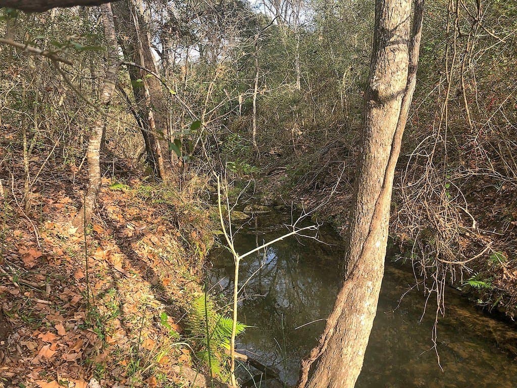 26 acres in Lavaca County - photo 13
