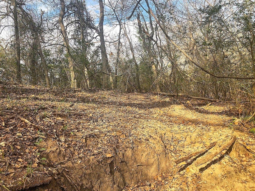 26 acres in Lavaca County - photo 6