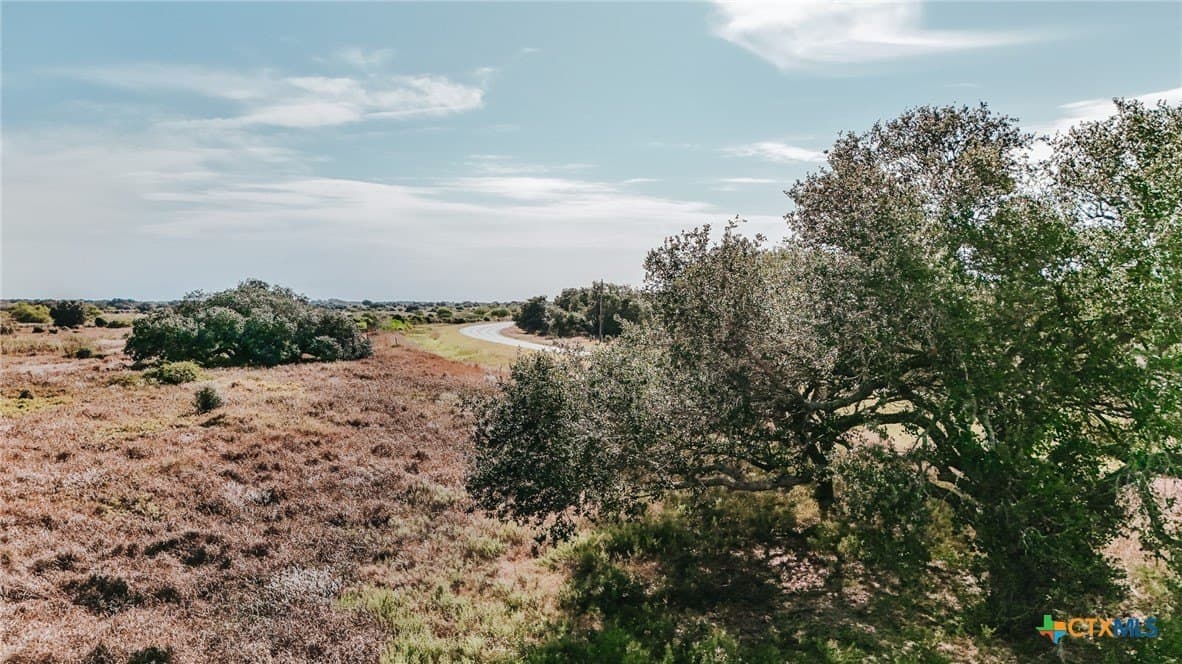 65.29 acres in Victoria County featured view