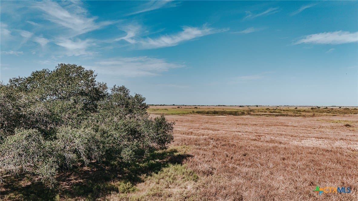 65.29 acres in Victoria County gallery image 4