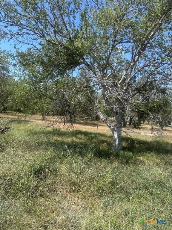 5.7 acres in Wilson County gallery image 3