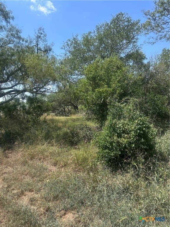 5.7 acres in Wilson County gallery image 4