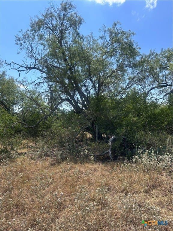 5.7 acres in Wilson County gallery image 2