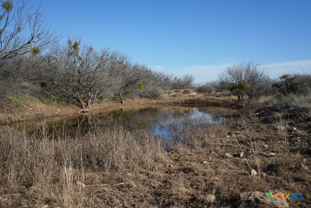 93 acres in McCulloch County - photo 21