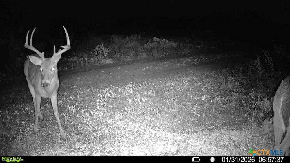 93 acres in McCulloch County - photo 39