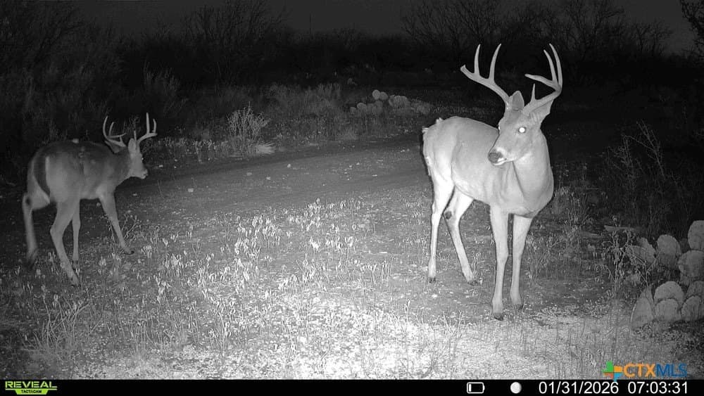 93 acres in McCulloch County - photo 40