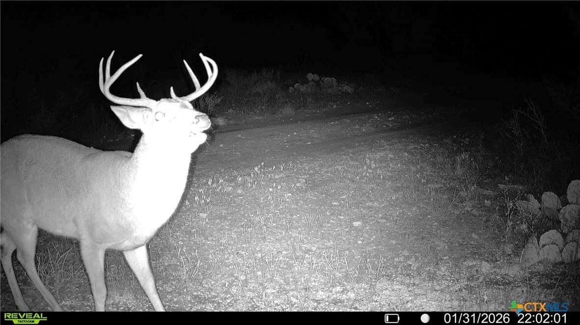 93 acres in McCulloch County - photo 41