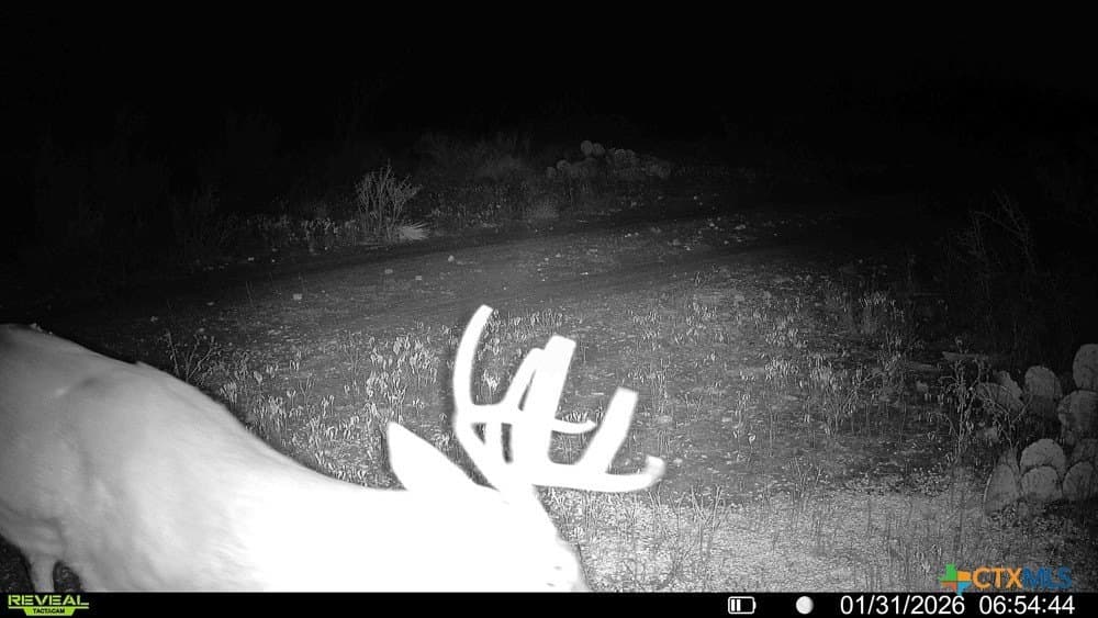 93 acres in McCulloch County - photo 42