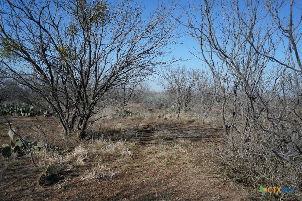 93 acres in McCulloch County - photo 22