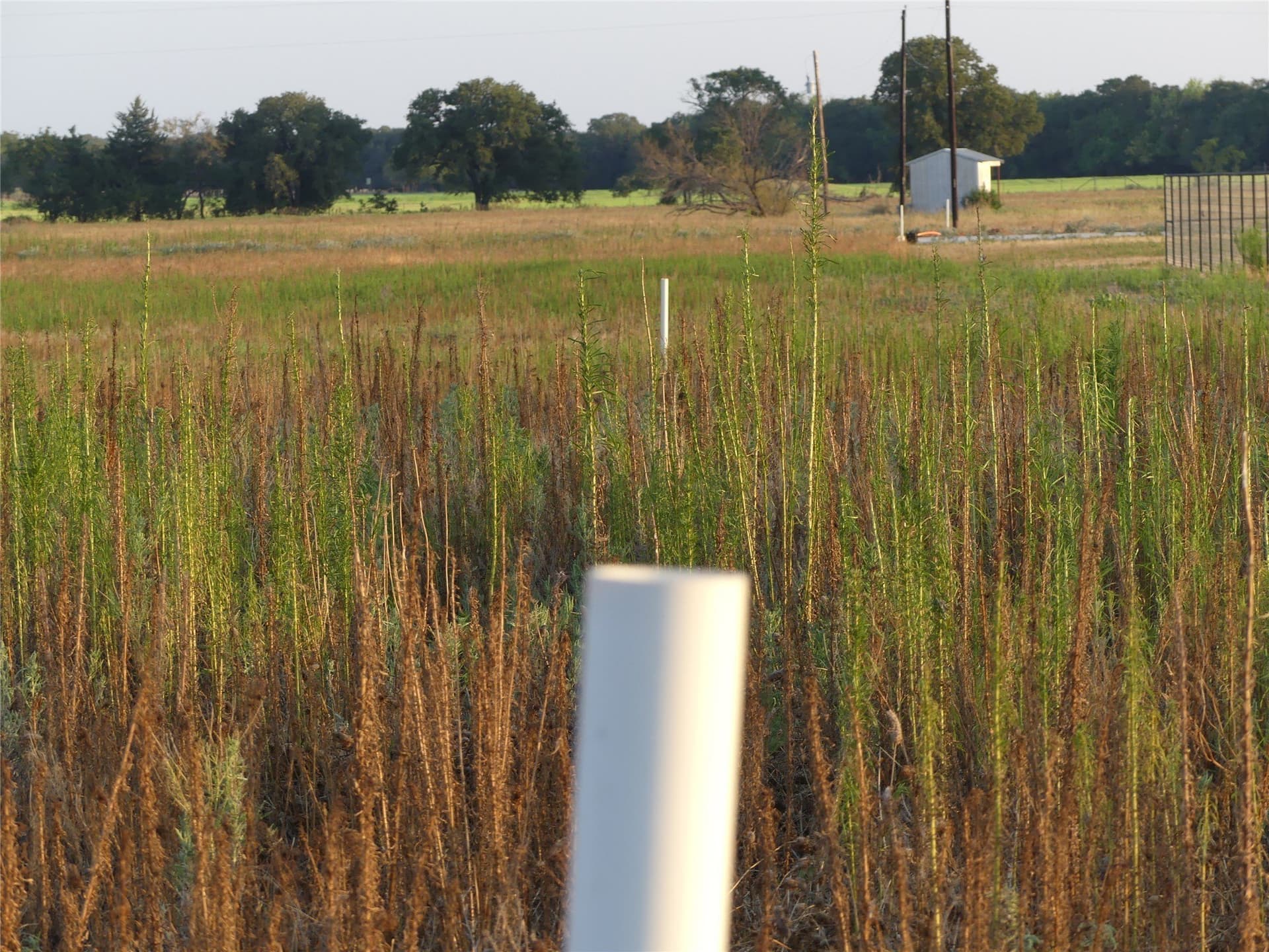 2.01 acres in Montague County - photo 8