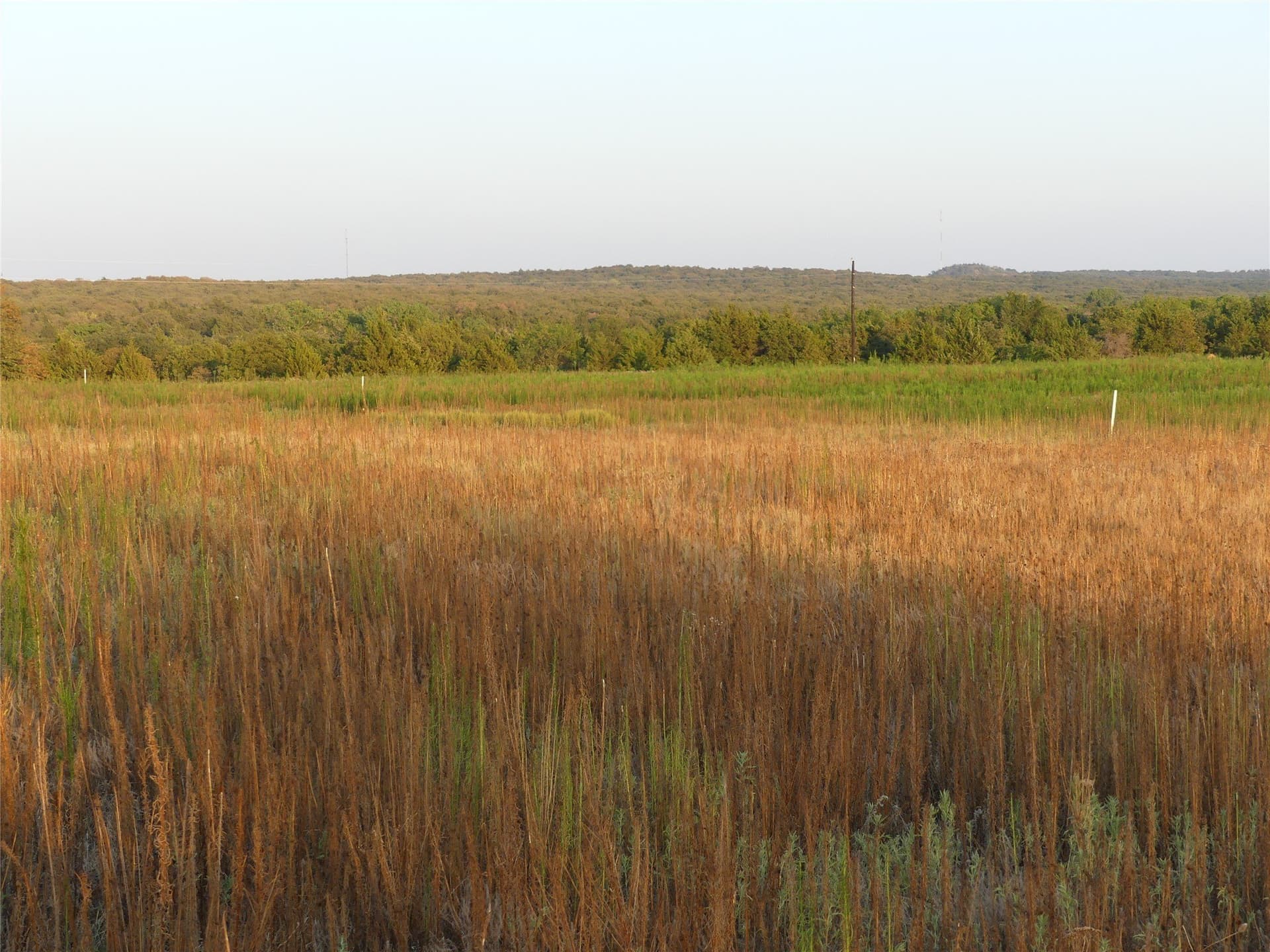 2.01 acres in Montague County