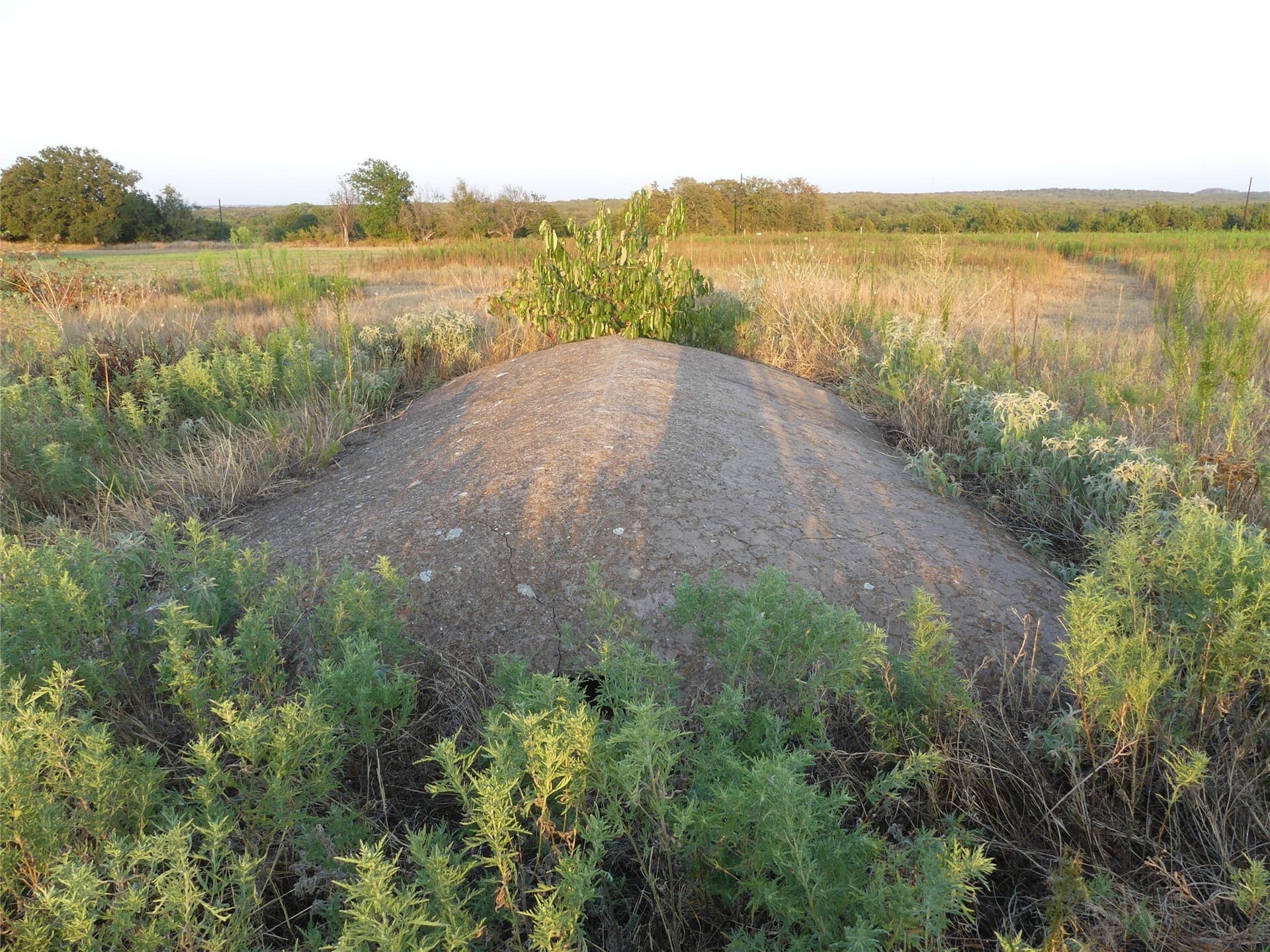 2.01 acres in Montague County - photo 3