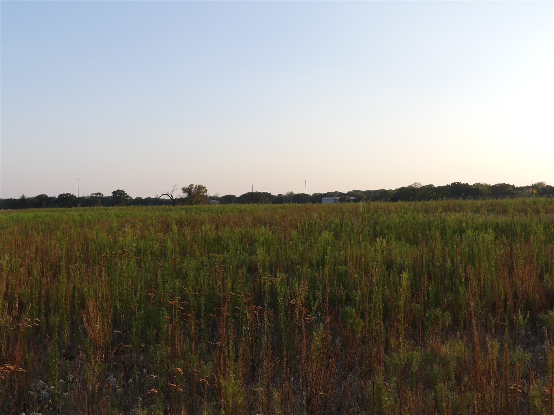 2.01 acres in Montague County - photo 12