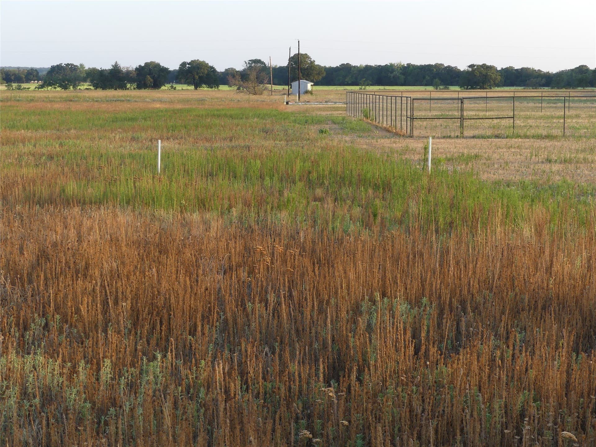 2.01 acres in Montague County - photo 9