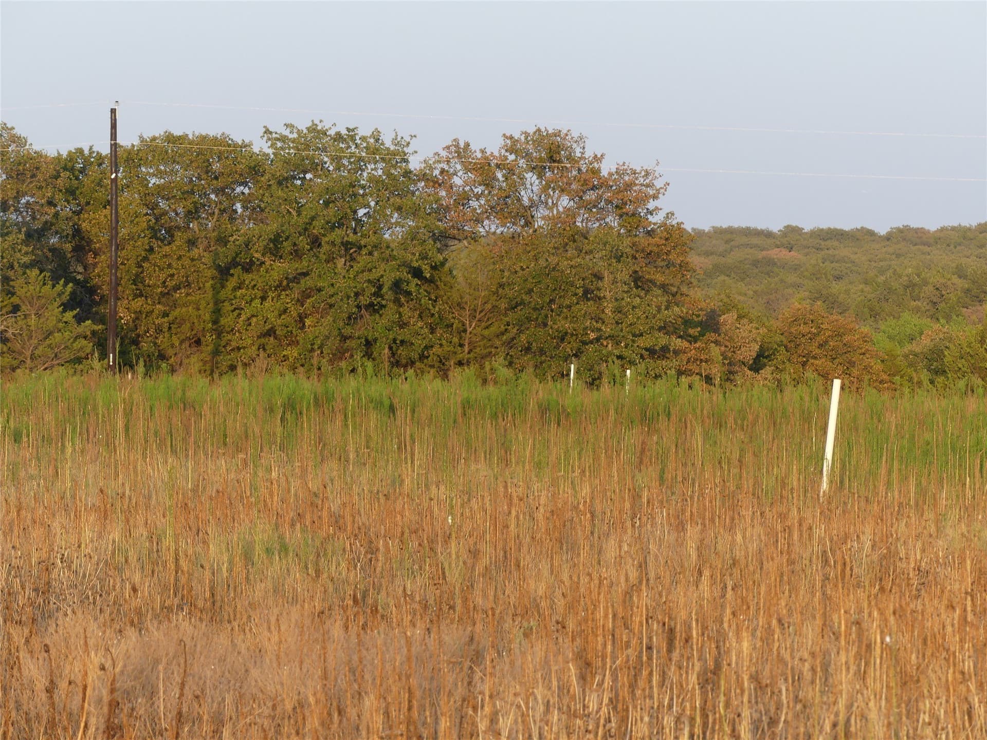 2.01 acres in Montague County - photo 4