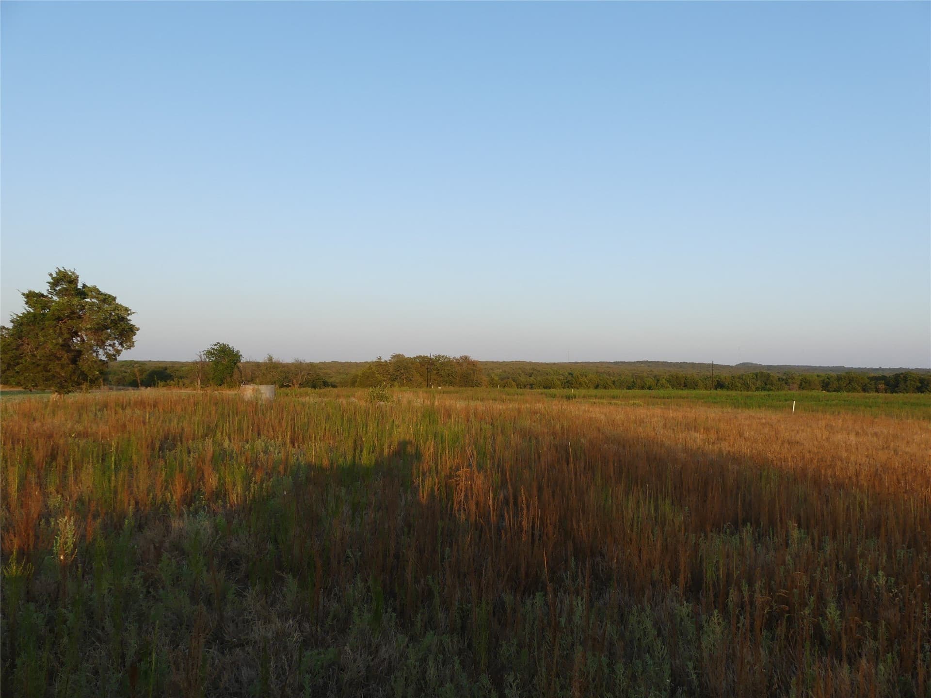 2.01 acres in Montague County - photo 10