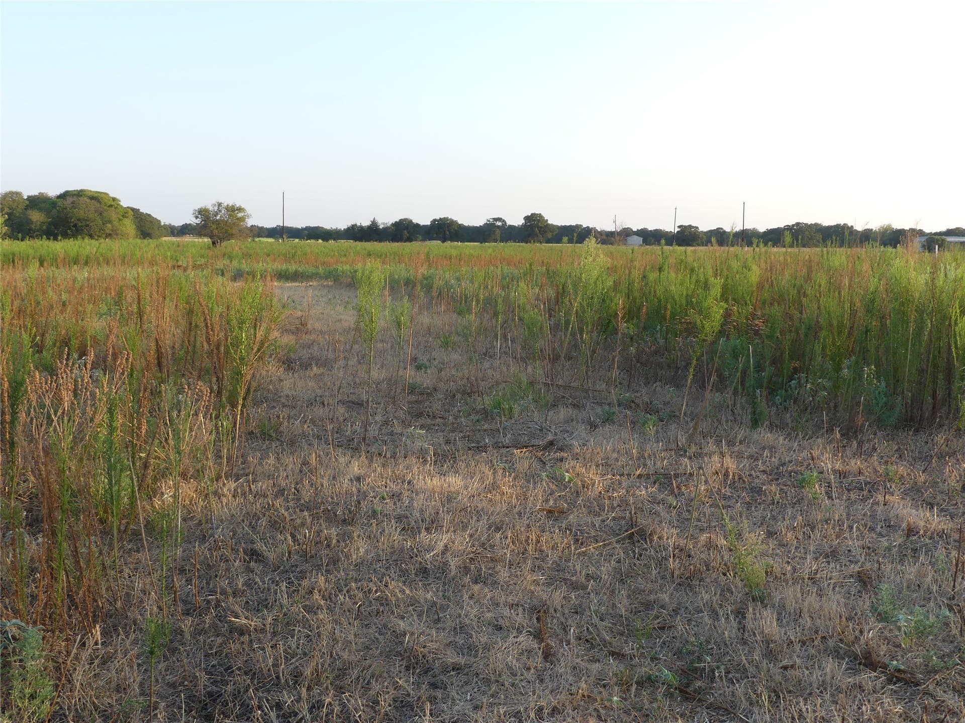 2.01 acres in Montague County - photo 7