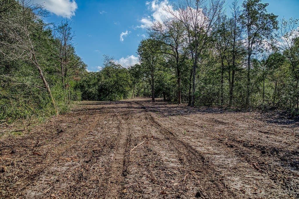 10 acres in Washington County - photo 9