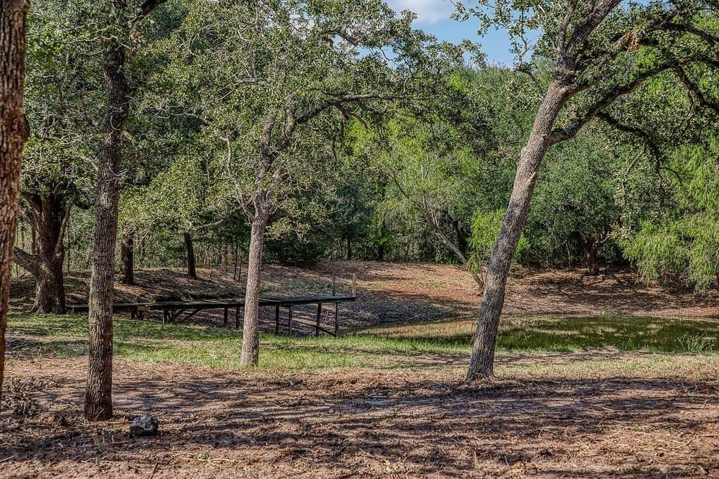 10 acres in Washington County - photo 16