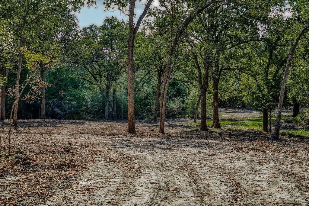 10 acres in Washington County - photo 18