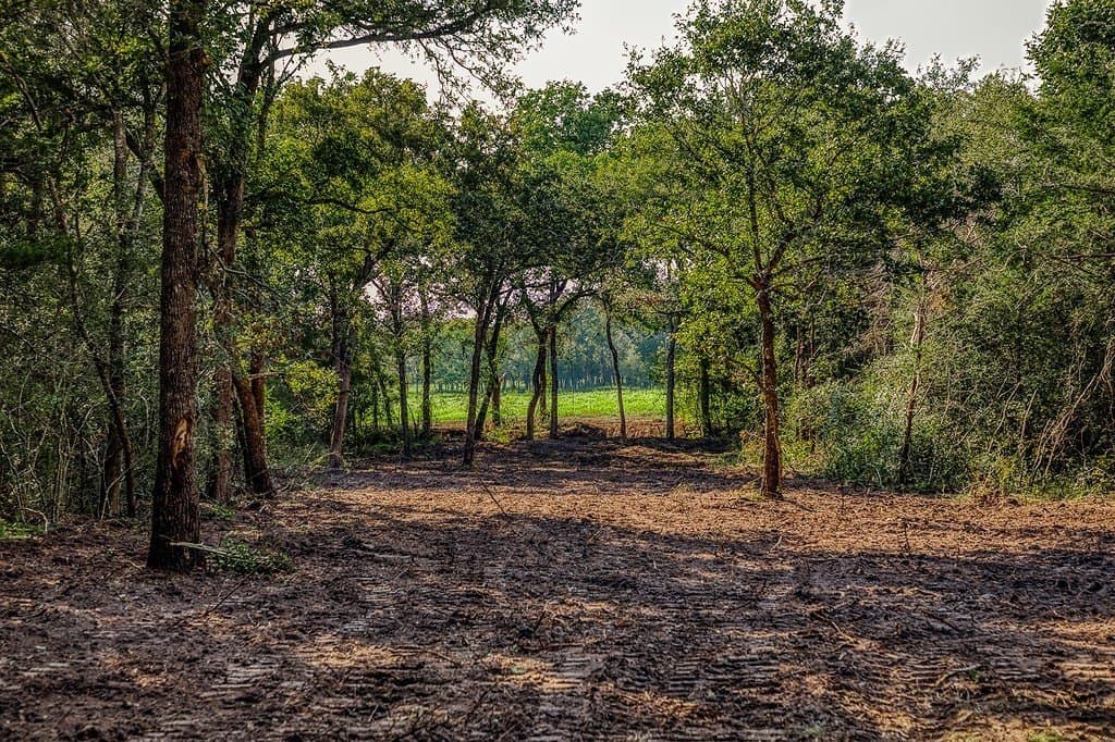 10 acres in Washington County - photo 26