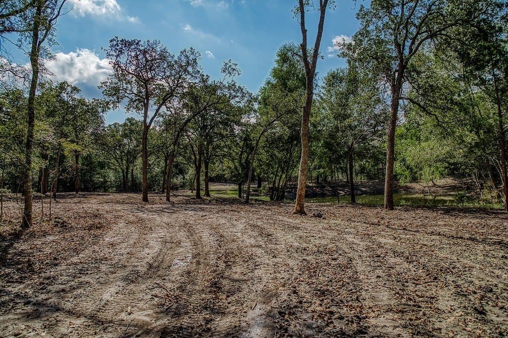 10 acres in Washington County - photo 19
