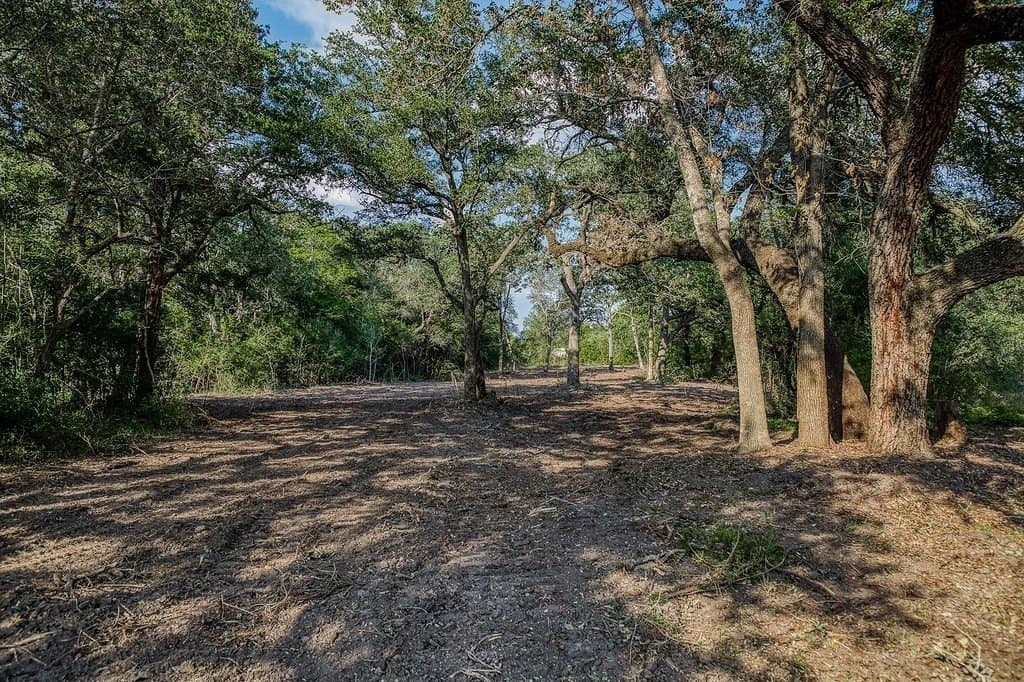 10 acres in Washington County - photo 28