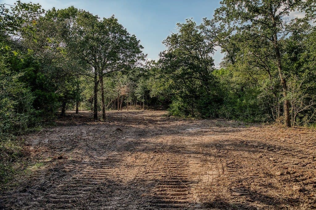 10 acres in Washington County - photo 27