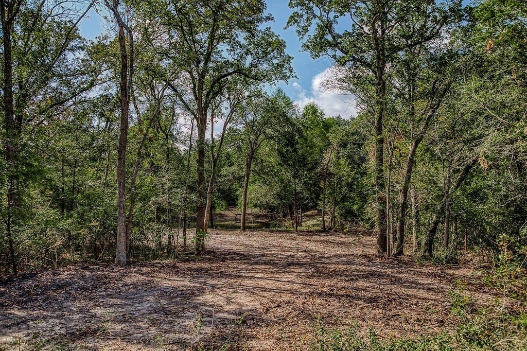 10 acres in Washington County - photo 20