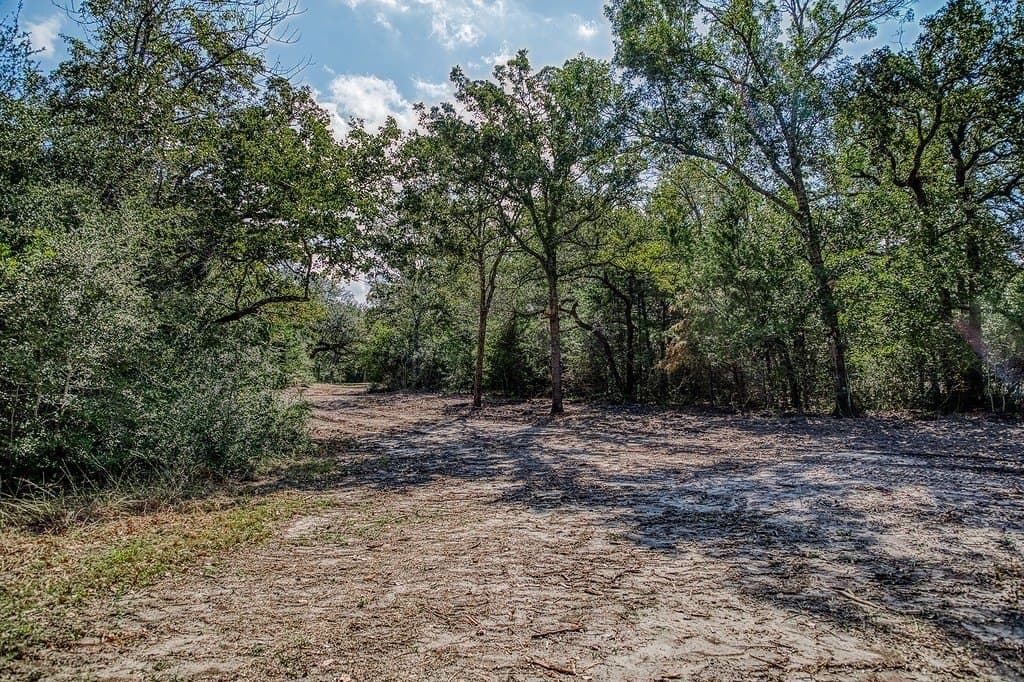 10 acres in Washington County - photo 15