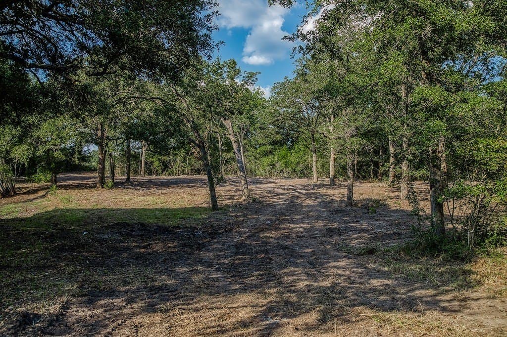 10 acres in Washington County - photo 24