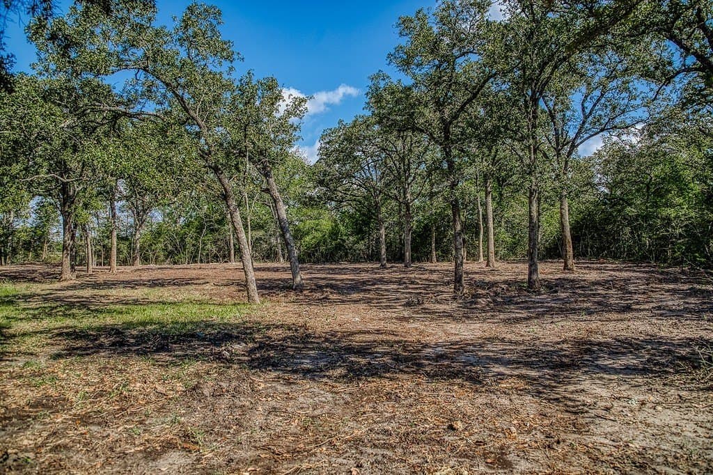 10 acres in Washington County - photo 14