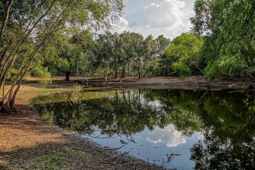 10 acres in Washington County