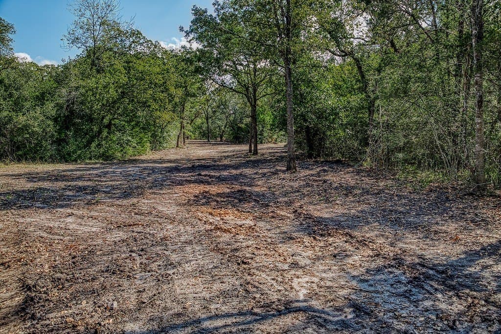 10 acres in Washington County - photo 10