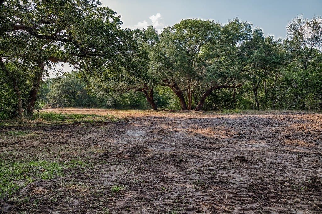 10 acres in Washington County - photo 29