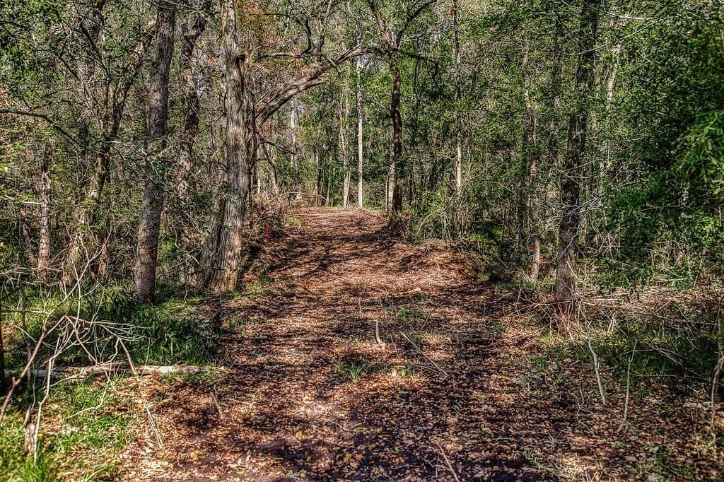 10 acres in Washington County - photo 8