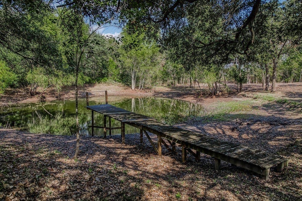 10 acres in Washington County - photo 12