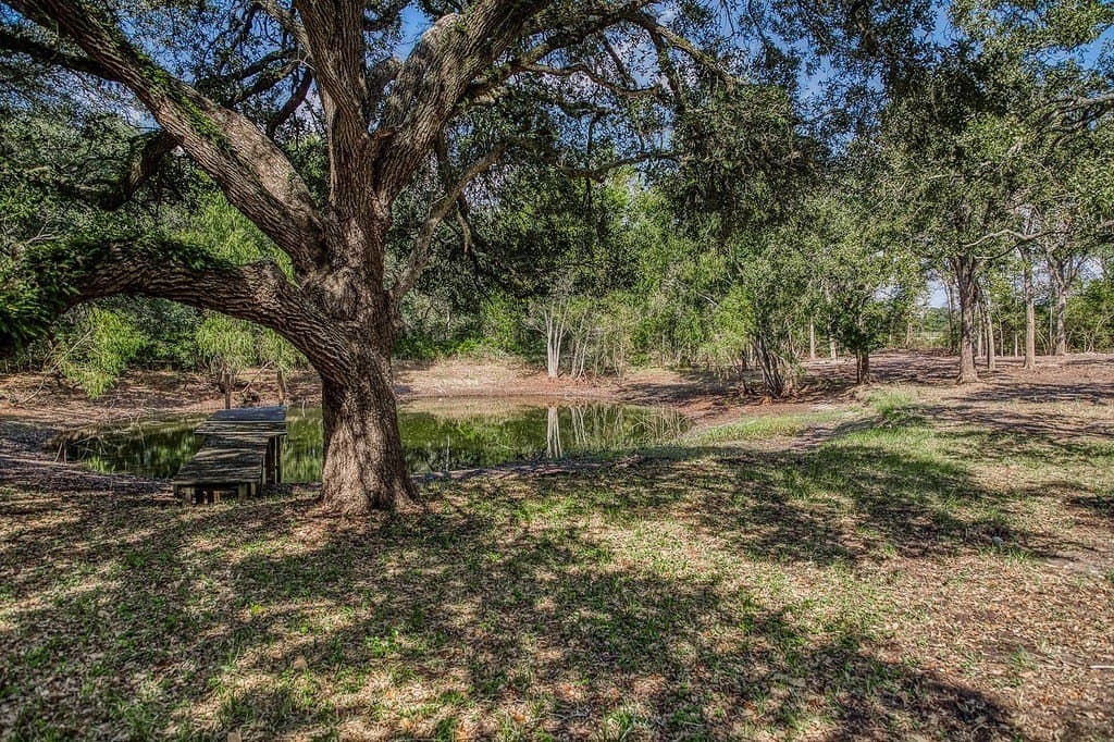10 acres in Washington County - photo 13