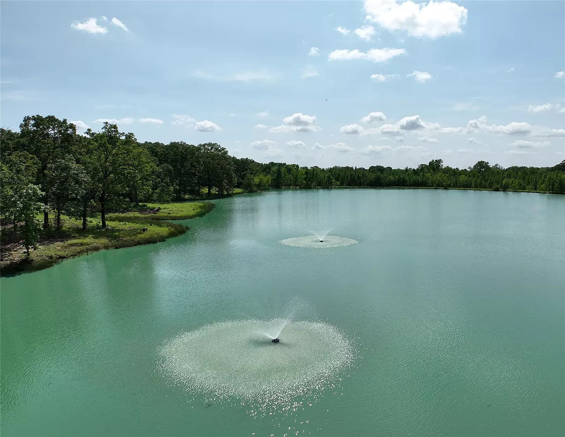 0.04 acres in Titus County - photo 13