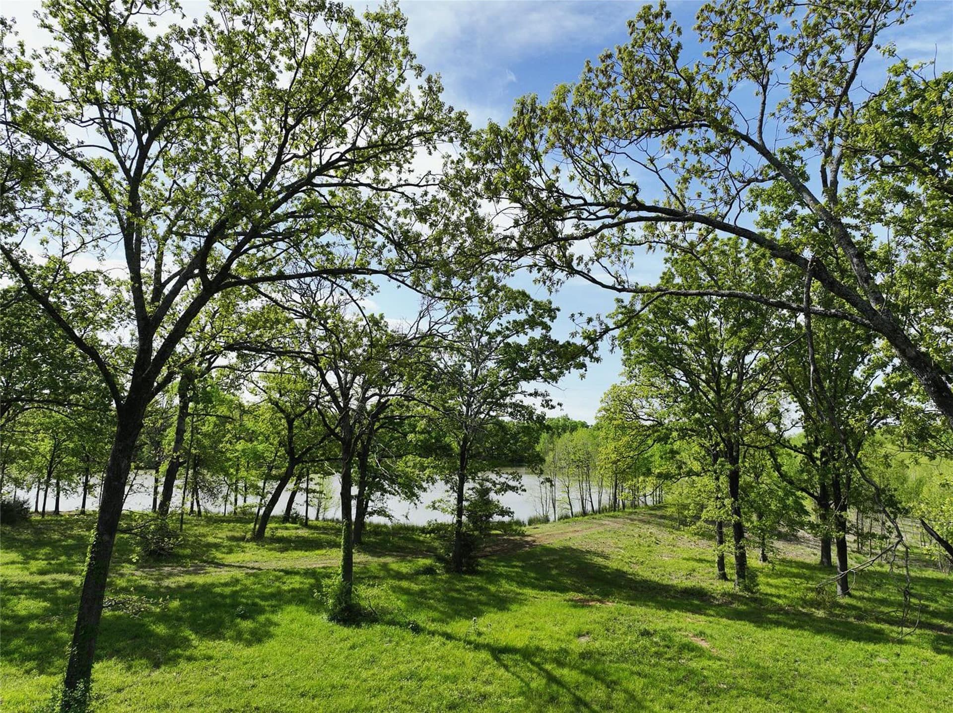 0.04 acres in Titus County - photo 32