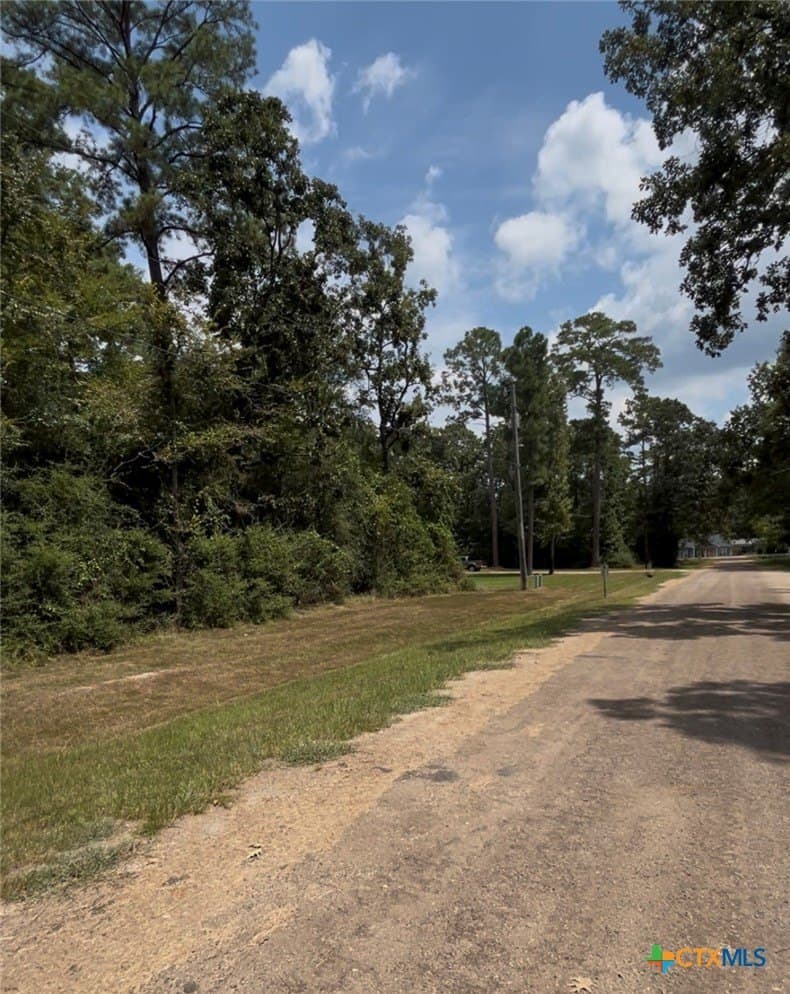 0.26 acres in Polk County - photo 10