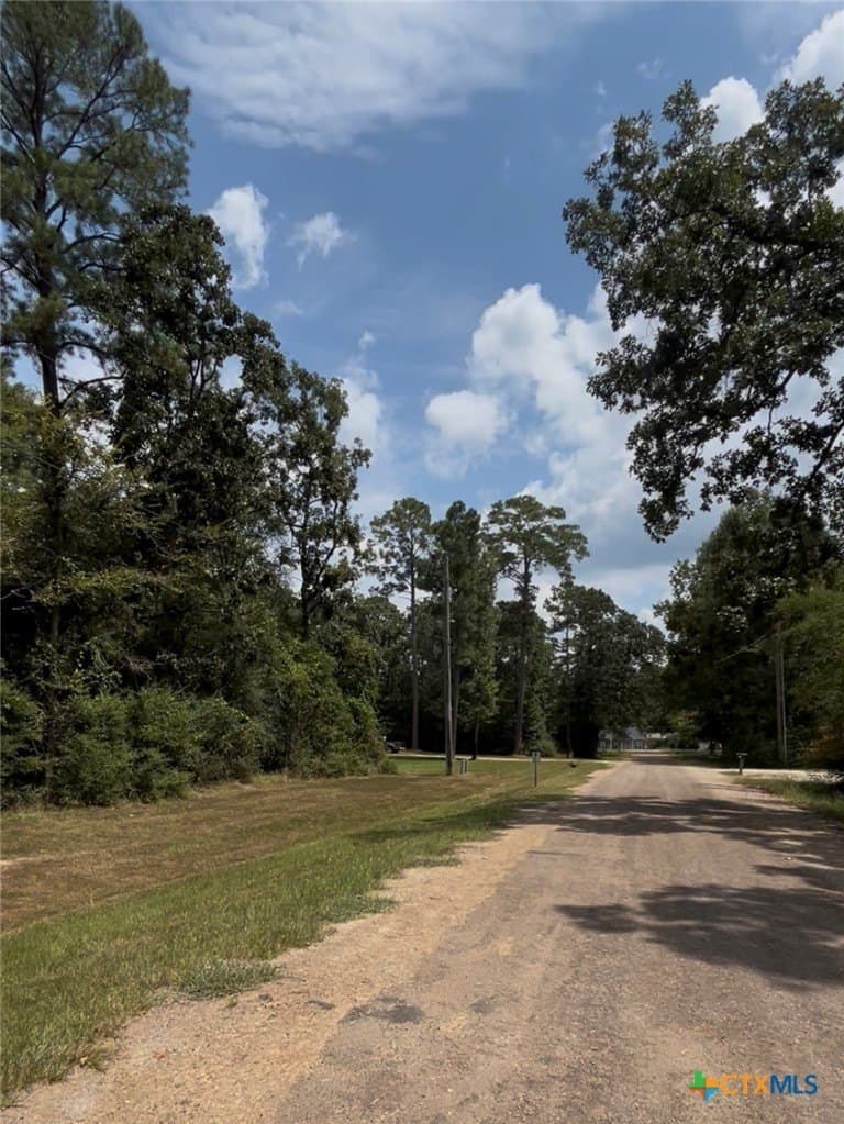 0.26 acres in Polk County - photo 12